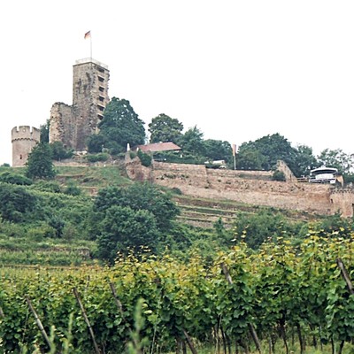 Wachtenburg, Ruine Burg Wachenheim