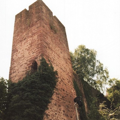 Wildberg (Effringen), Schlossruine