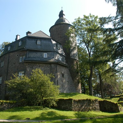 Wildenburg (Freisenhagen), Burg