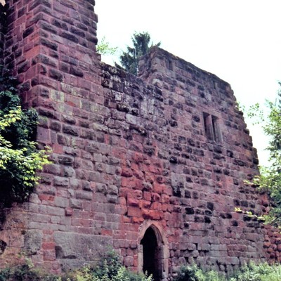 Wilenstein (Trippstadt), Burg