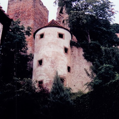 Ehrenberg (Bad Rappenau), Burg