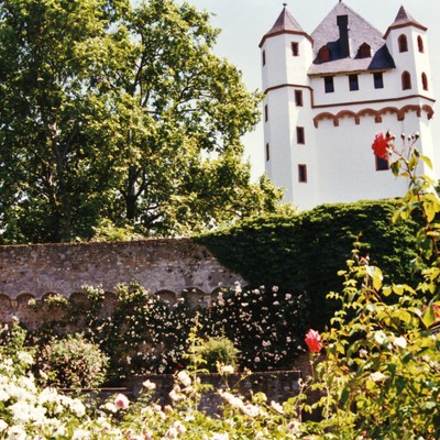 Eltville, Kurfurstliche Burg