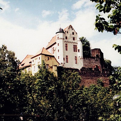 Alzenau, Burg