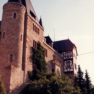 Alzey, Schloss