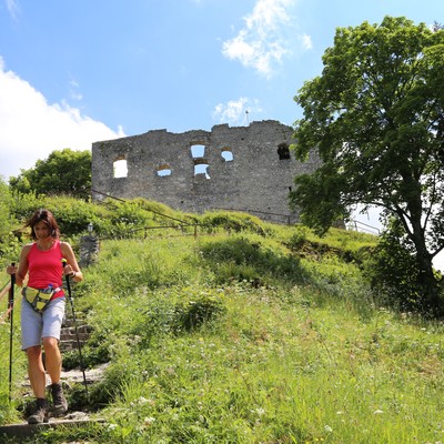 Falkenstein (Allgau), Burgruine