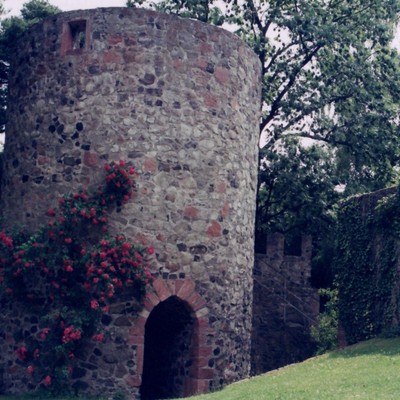 Amöneburg, Burgruine