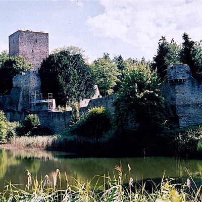 Hardtburg (Euskirchen), Burg
