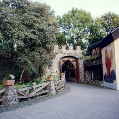 Bingenheim, Schloss