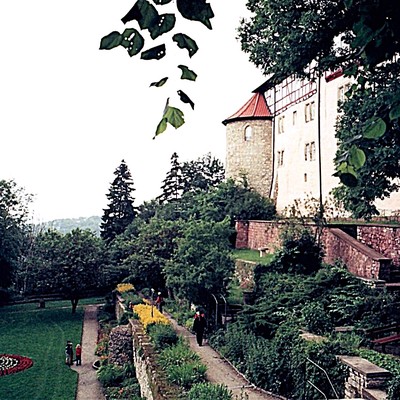 Bodenstein, Burg