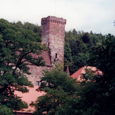 Bödigheim, Burg