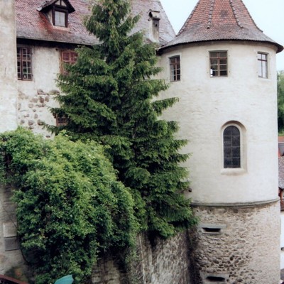 Meersburg, Burg