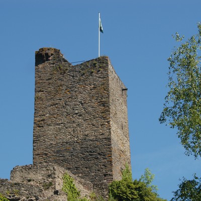 Metternich, Burg