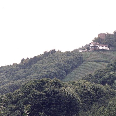 Neu-Windeck, Burgruine