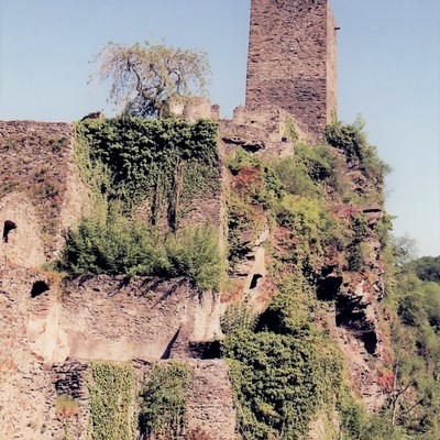 Niederburg Mandersheid