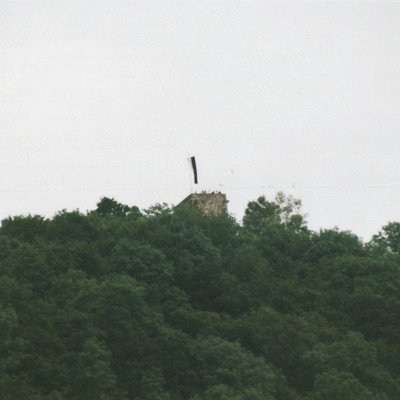 Rheingrafenstein, Burgruine