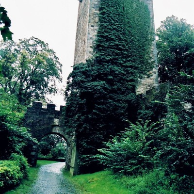 Schaumburg (Lower Saxony), Burg